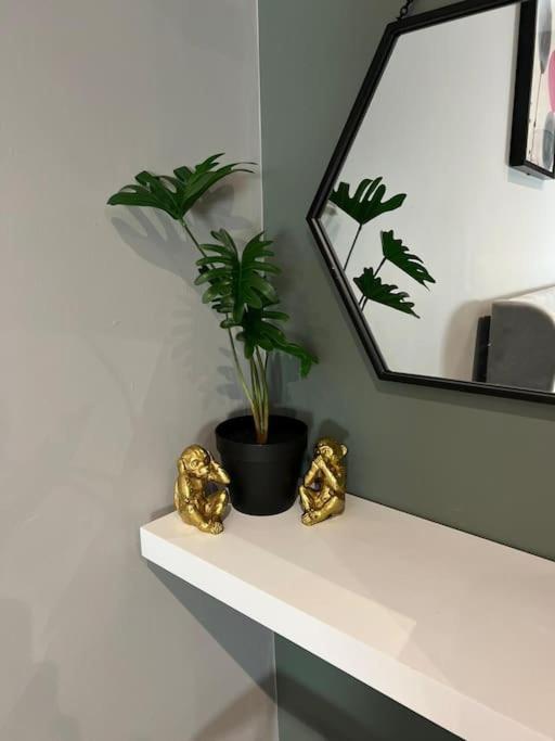 Peaceful & Stylish Brighton Studio Apartment Eksteriør billede